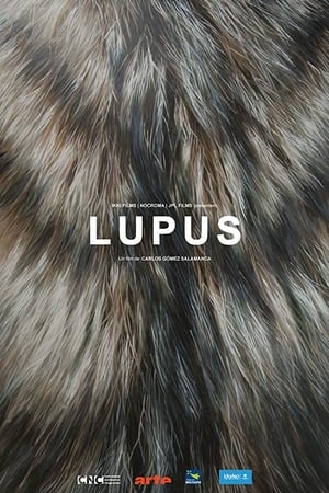Póster de la película Lupus
