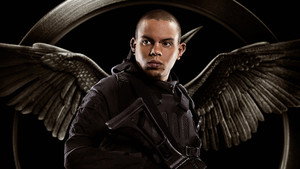 The Hunger Games: Mockingjay - Part 1