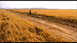 Memories of Murder