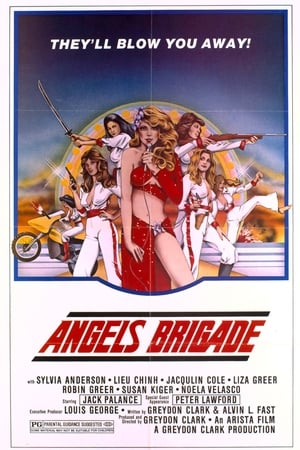 Póster de la película Angels' Brigade