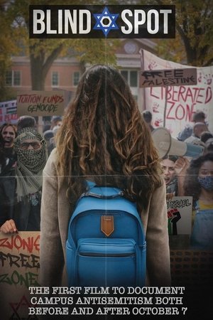 watch blind spot movie poster