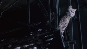 Angel Heart - Ascensore per l'inferno