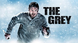 The Grey
