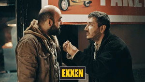 Gibi