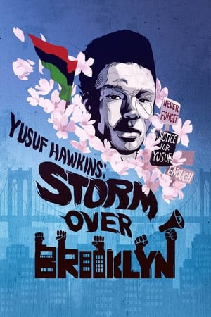 Póster de la película Yusuf Hawkins: Storm Over Brooklyn