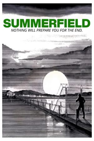 Póster de la película Summerfield