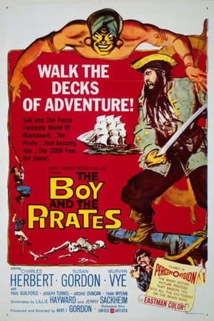 Póster de la película The Boy and the Pirates