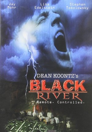 Póster de la película Black River