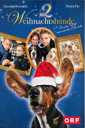 Póster de la película Zwei Weihnachtshunde