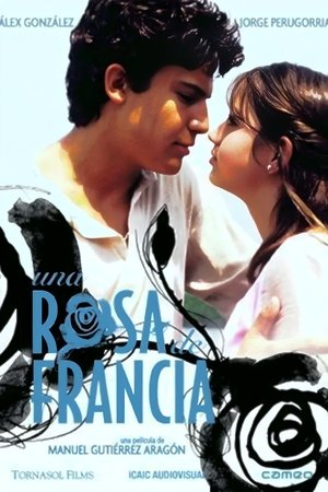 Póster de la película Una rosa de Francia