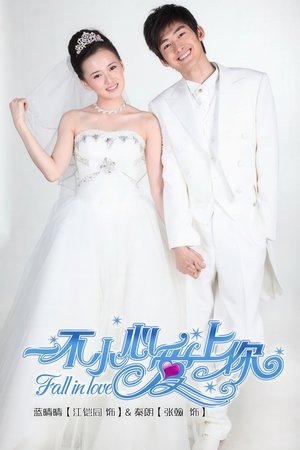 watch fall in love tv show poster
