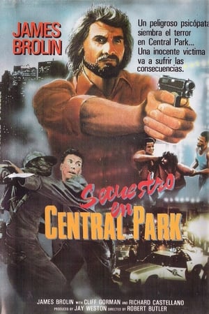 Póster de la película Secuestro en Central Park