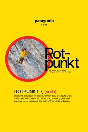 Póster de la película Rotpunkt