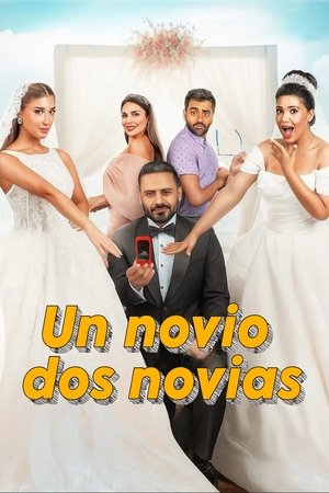 Póster de la película Un novio, dos novias