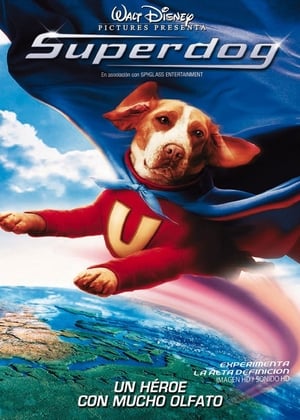 Póster de la película Superdog