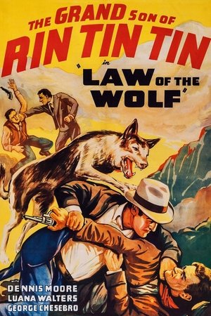 Póster de la película Law of the Wolf