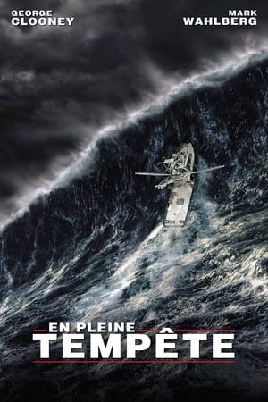 En Pleine Tempête Streaming VF VOSTFR