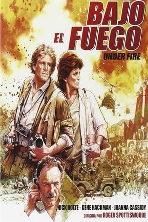 Póster de la película Bajo el fuego