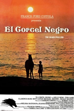 Póster de la película El corcel negro