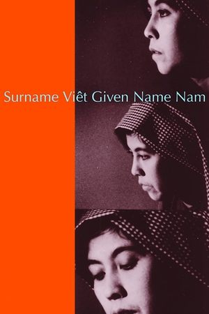 Póster de la película Surname Viêt Given Name Nam