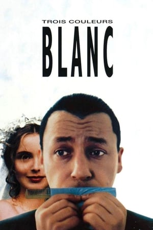 Trois couleurs : Blanc Streaming VF VOSTFR