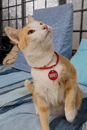 Barry
