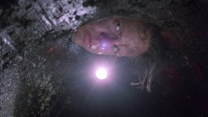 The Shawshank Redemption