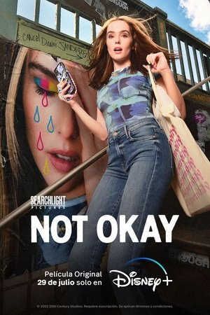 Póster de la película Not Okay