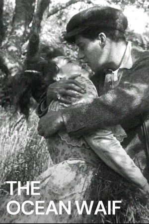 Default Netflix logo