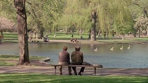 Good Will Hunting