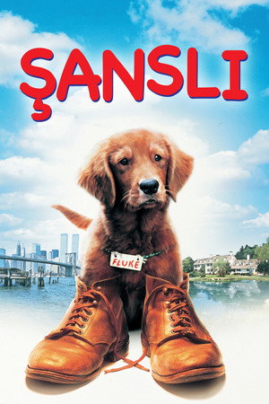Şanslı