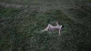 Default Netflix logo