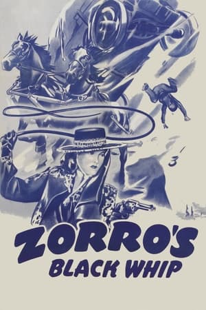 Póster de la película Zorro's Black Whip
