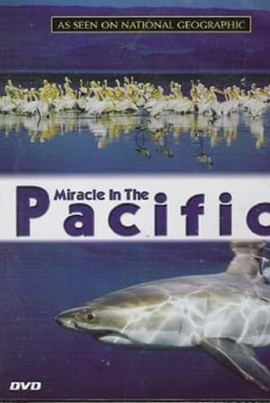 Póster de la película Miracle in the Pacific