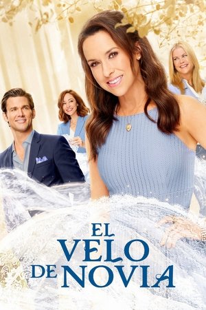 Póster de la película The Wedding Veil