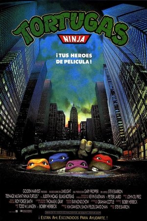 Póster de la película Tortugas Ninja