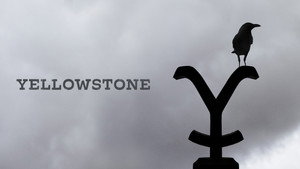Yellowstone