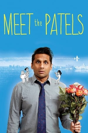 Póster de la película Meet the Patels