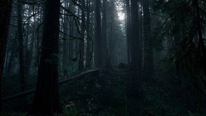 The Revenant