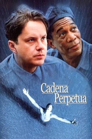 Póster de la película Cadena perpetua