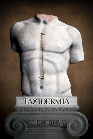 Póster de la película Taxidermia