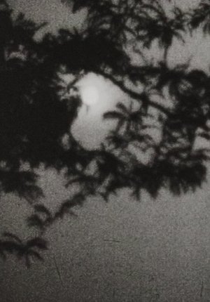 Moonplay