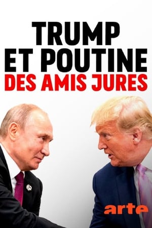 Póster de la película Erzfreunde - Trump und Putin