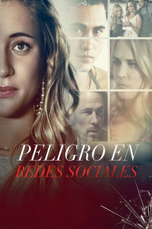 Póster de la película Asesino en la red