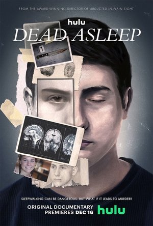 The Sleepwalker