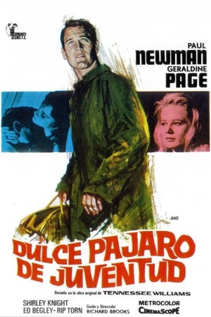 Póster de la película Dulce pájaro de juventud