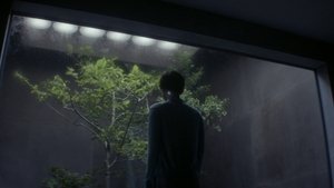 Ex Machina