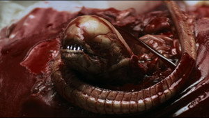 Alien