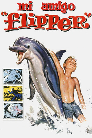 Póster de la película Mi amigo Flipper