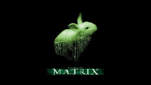 The Matrix